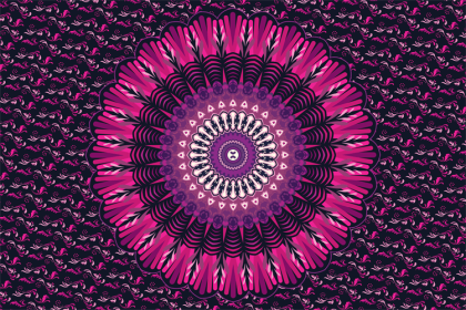 TAP239-150x225cm (Option: TAP291-150x225cm)